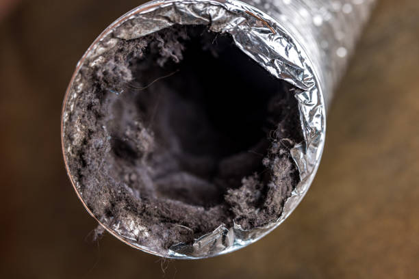 Best Duct Repair and Sealing Services in Pleasanton, KS